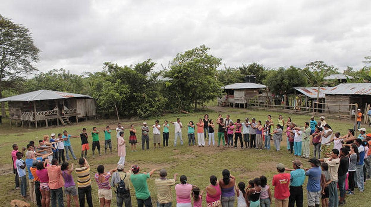 Cu Nto Se Ha Avanzado En Derecho Ambiental Durante Los Ltimos A Os